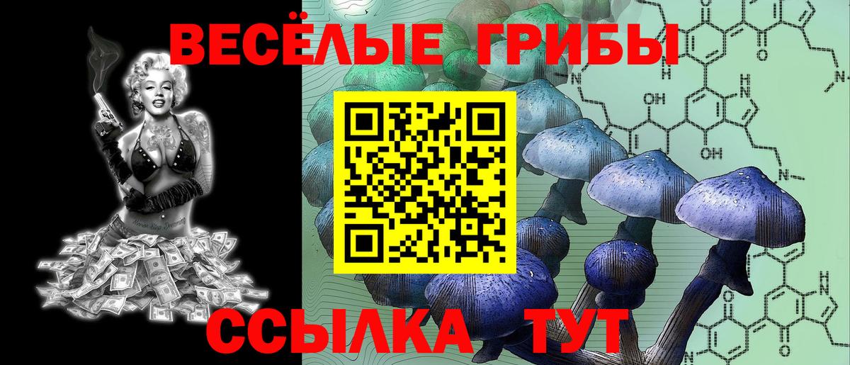 Псилоцибиновые грибы ЛСД Сердобск