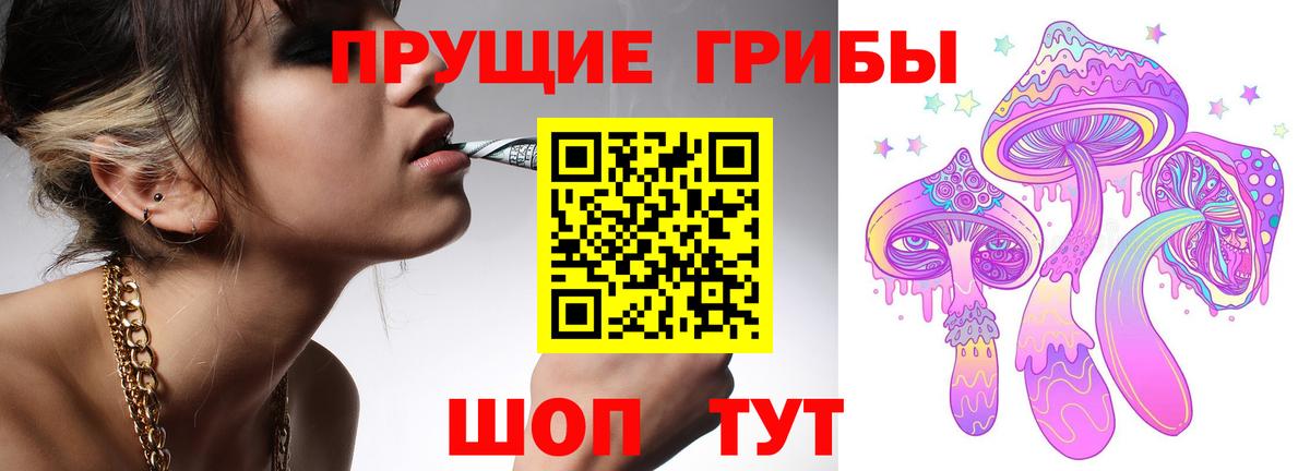 Галлюциногенные грибы прущие грибы  Псилоцибиновые грибы прущие грибы  Вход с VPN  Сердобск 